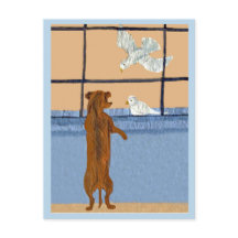 Dachshund at Window watching White Doves