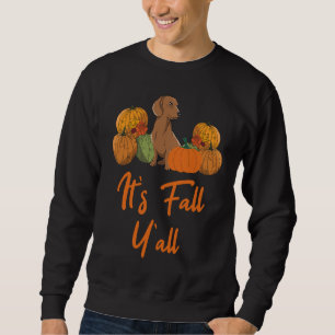 Dachshund Autumn Fall Season Leopard Pumpkin Dog Sweatshirt