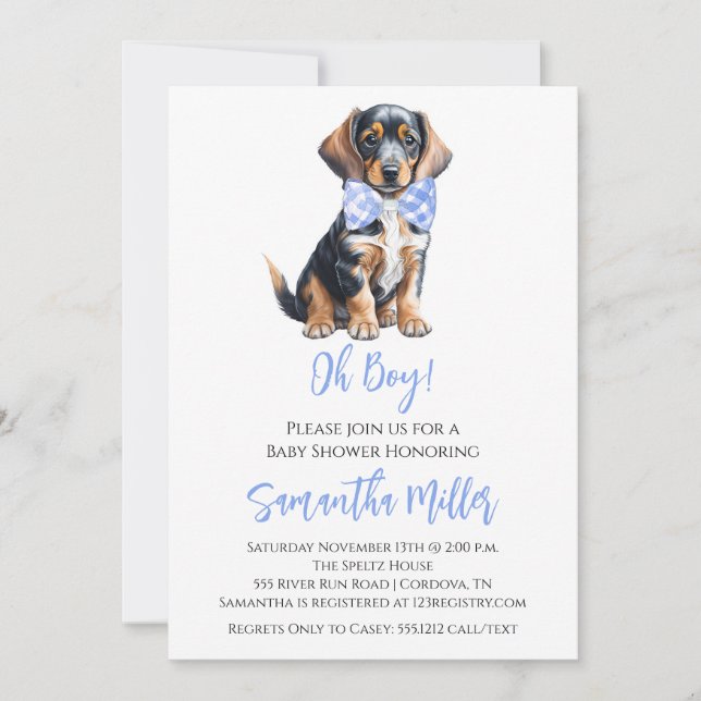 Dachshund Baby Boy Shower Invitation (Front)