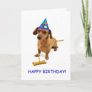 Dachshund Birthday Card by Focus for a Cause