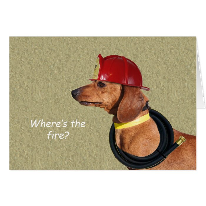 Dachshund Birthday Card by Focus for a Cause