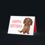 Dachshund Birthday Funny Wiener Dog  Dashie Bday Card<br><div class="desc">Calling all dachshund lovers! This adorable and funny wiener dog birthday card is perfect for doxie moms, dashound dads, and sausage dog fans. Whether you love a silly, long-bodied goofball or a tiny, feisty pup, this cute and happy bday card will make any dachshund lover smile. Woof-tastic fun for any...</div>