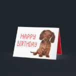 Dachshund Birthday Funny Wiener Dog  Dashie Bday Card<br><div class="desc">Calling all dachshund lovers! This adorable and funny wiener dog birthday card is perfect for doxie moms, dashound dads, and sausage dog fans. Whether you love a silly, long-bodied goofball or a tiny, feisty pup, this cute and happy bday card will make any dachshund lover smile. Woof-tastic fun for any...</div>