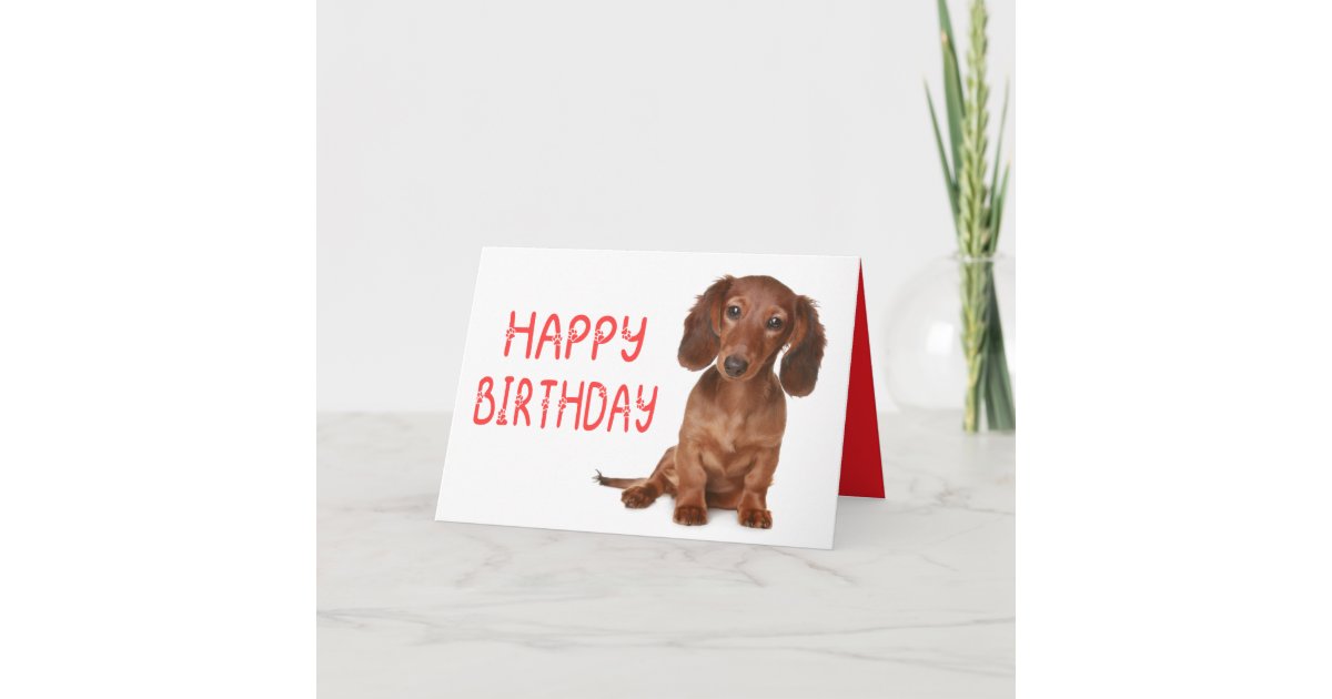 Dachshund Birthday Funny Wiener Dog Dashie Bday Card | Zazzle