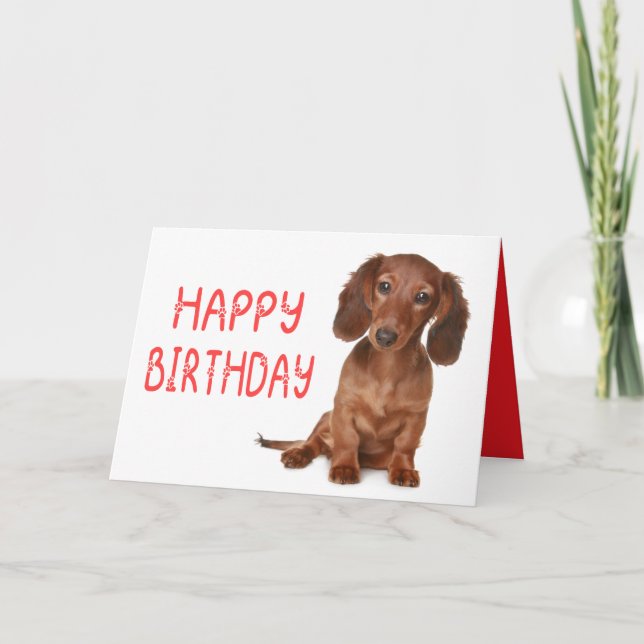 Dachshund Birthday Funny Wiener Dog  Dashie Bday Card (Front)