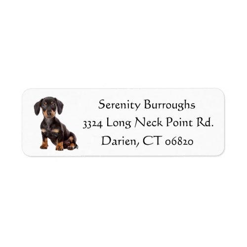 Dachshund Black And Brown Puppy Dog Personalized Label