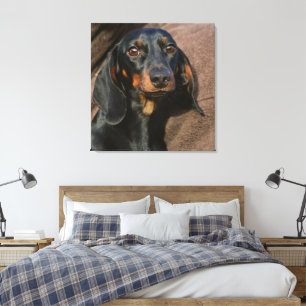 dachshund black and tan canvas print