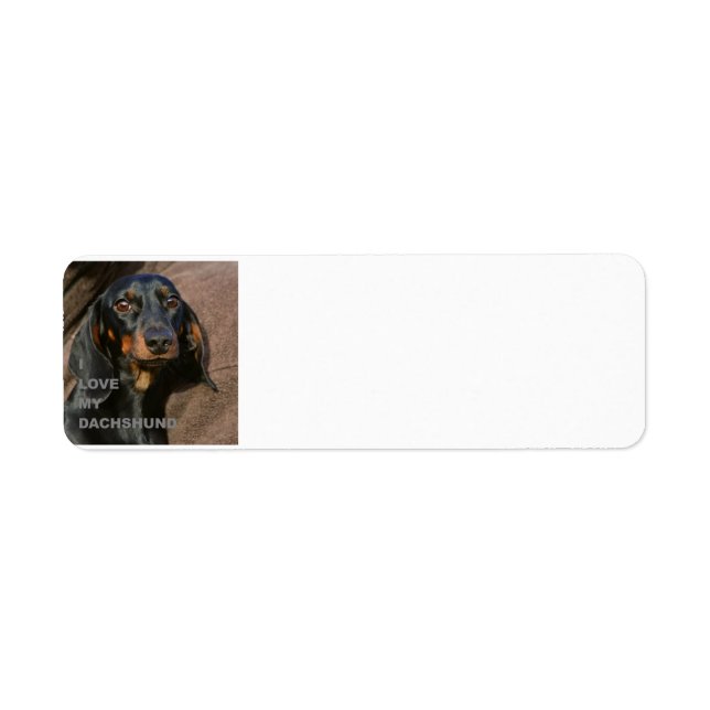 dachshund-black and tan love w pic label (Front)