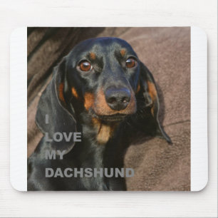 dachshund-black and tan love w pic mouse pad