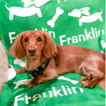 Dachshund Blanket Personalized Wiener Dog Gift