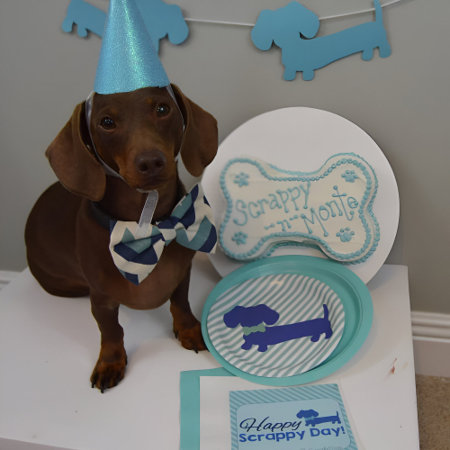 Dachshund Blue Wiener Dog Party Paper Plates