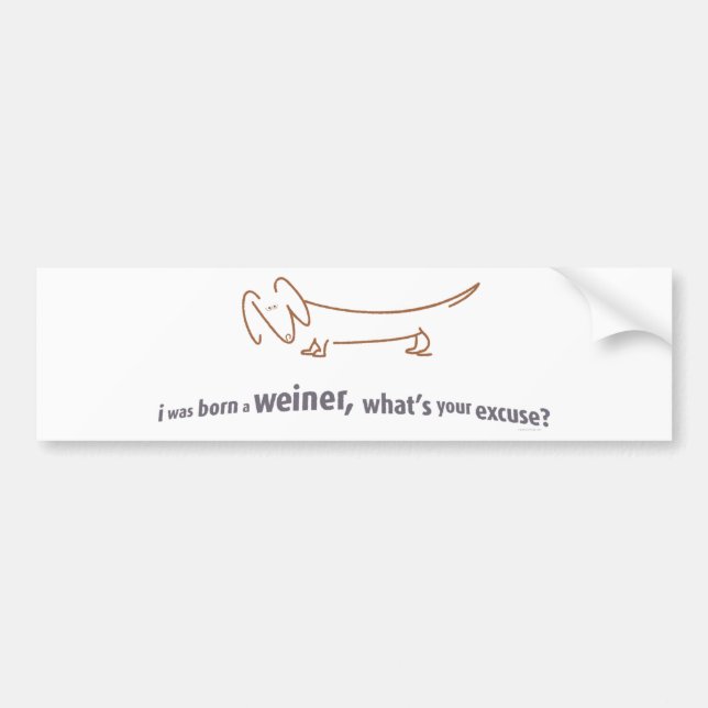 Dachshund. Born Weiner! Bumper Sticker (Front)