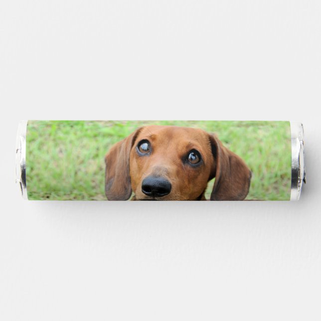 dachshund  breath savers® mints (Front)
