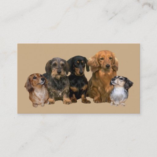 Customizable Dachshund Breeder Business Card