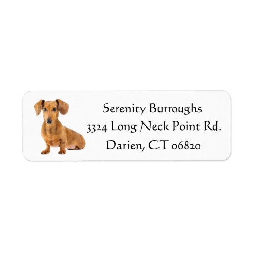 Dachshund Brown Puppy Dog Black Personalized Label