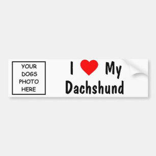 Dachshund Bumper Sticker