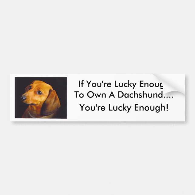 Dachshund Bumper Sticker (Front)