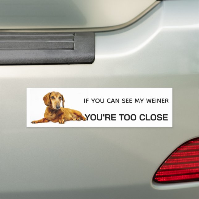 Dachshund Bumper Sticker Car Magnet (In Situ)