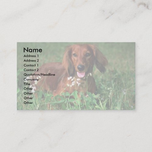 Dachshund Business Card