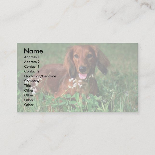 Dachshund Business Card (Front)