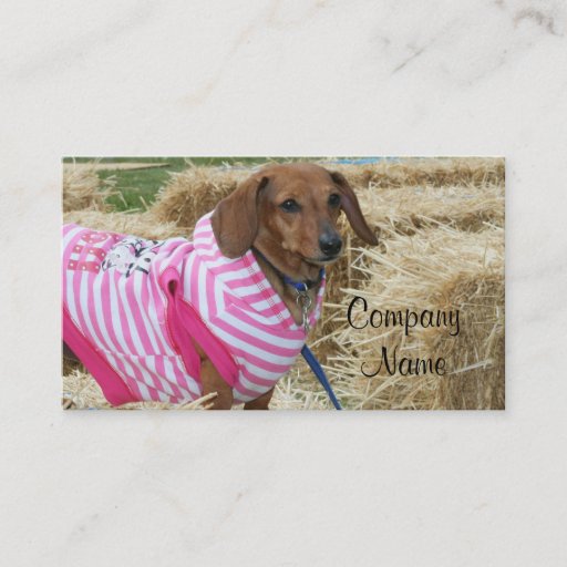 Customizable Dachshund business cards