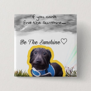 Dachshund button