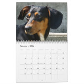 Dachshund Calendar | Zazzle