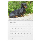 Dachshund Calendar | Zazzle