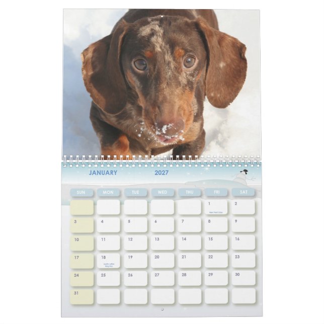 Dachshund Calendar (Jan 2027)
