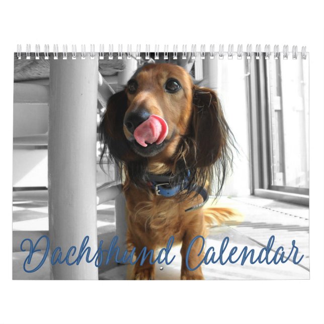 Dachshund Calendar 2023 Customized Photos (Cover)