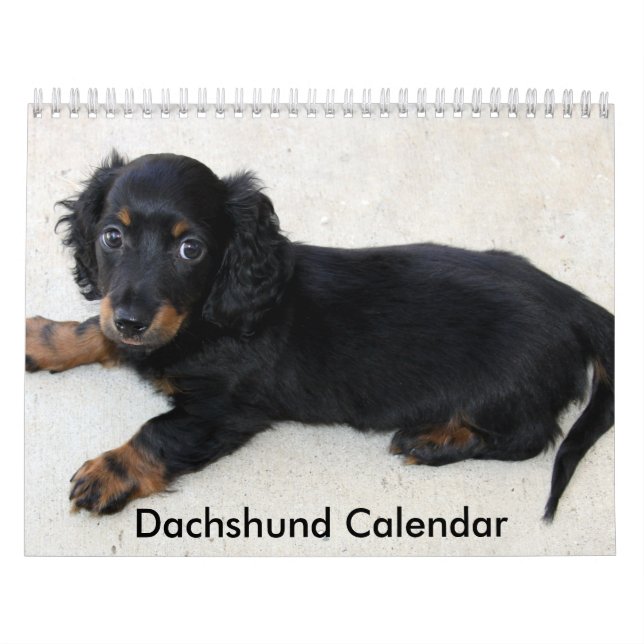 Dachshund Calendar 2023 Personalized Photos (Cover)