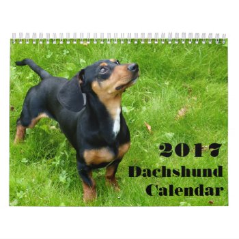 Dachshund Calendar 2023 With Your Photos by online_store at Zazzle