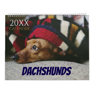 Dachshund Calendar Dog 2026 Photo