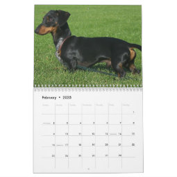 Dachshund Calendar With Photos | Zazzle