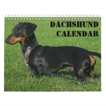 Dachshund Calendar With Photos by online_store at Zazzle
