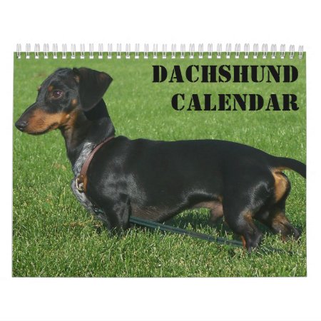 Dachshund Calendar With Photos