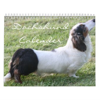 Dachshund Calender Calendar | Zazzle