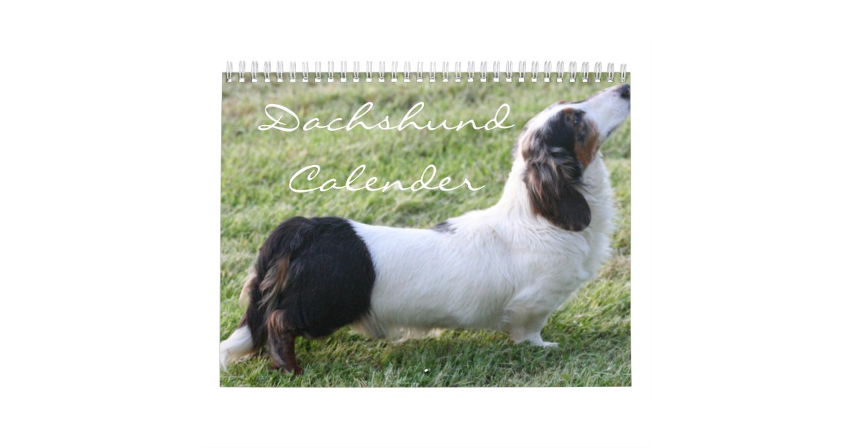 Dachshund Calender Calendar | Zazzle