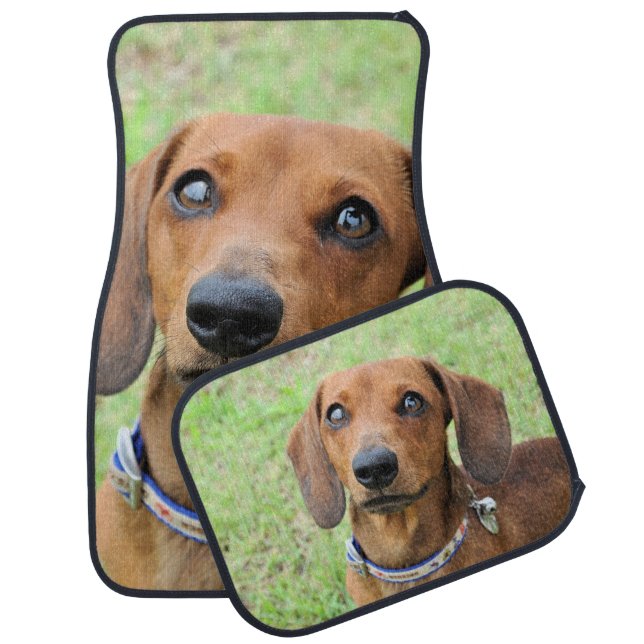 Dachshund Car Floor Mat (Set)