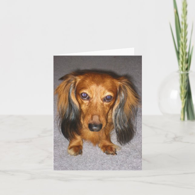 Dachshund Card (Front)