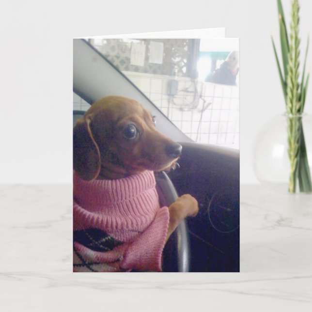 Dachshund  Card (Front)