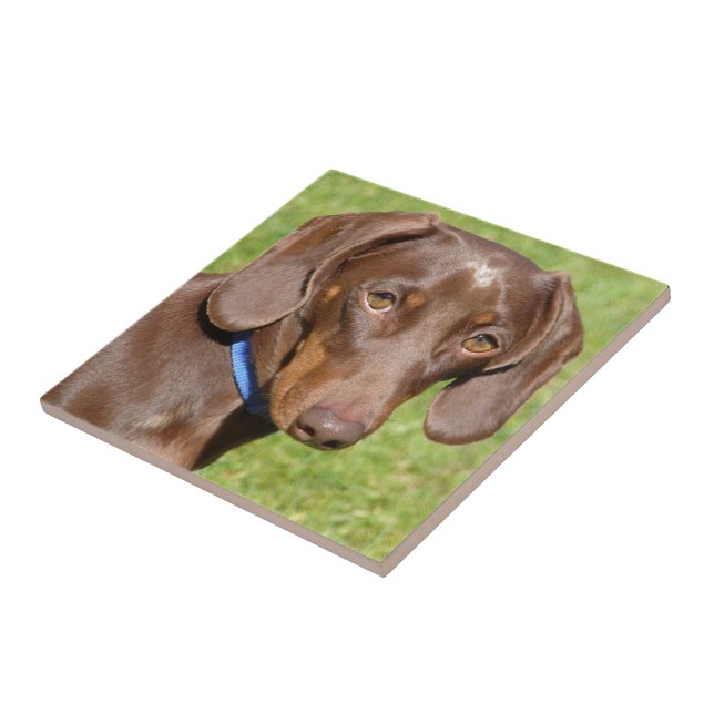 Dachshund  ceramic tile (Side)
