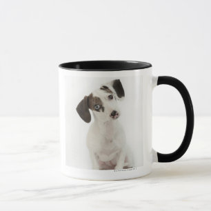 Dachshund/Chihuahua female puppy staring Mug