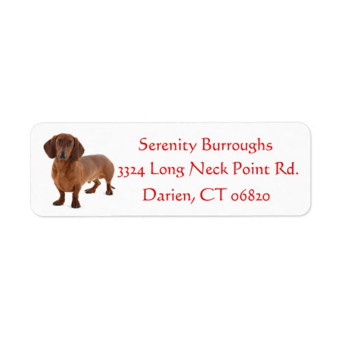 Dachshund Chocolate Brown Puppy Dog Red Label