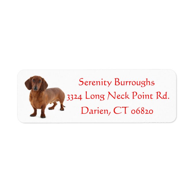 Dachshund Chocolate Brown Puppy Dog Red Label (Front)