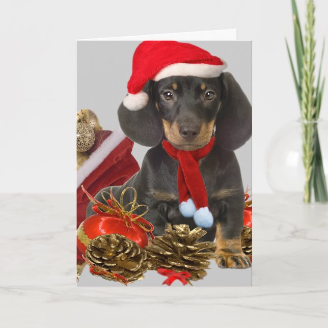 Dachshund christmas and ornaments holiday card (Front)