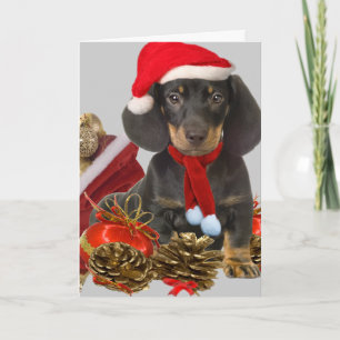 Dachshund christmas and ornaments holiday card