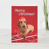 Dachshund Christmas Card | Zazzle