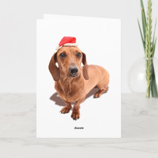 Dachshund Christmas Card | Zazzle