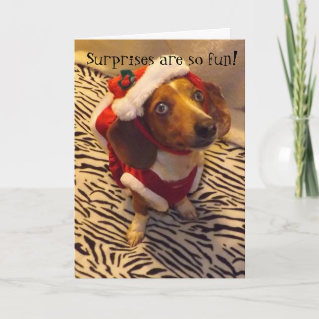 Dachshund Christmas Card (Front)